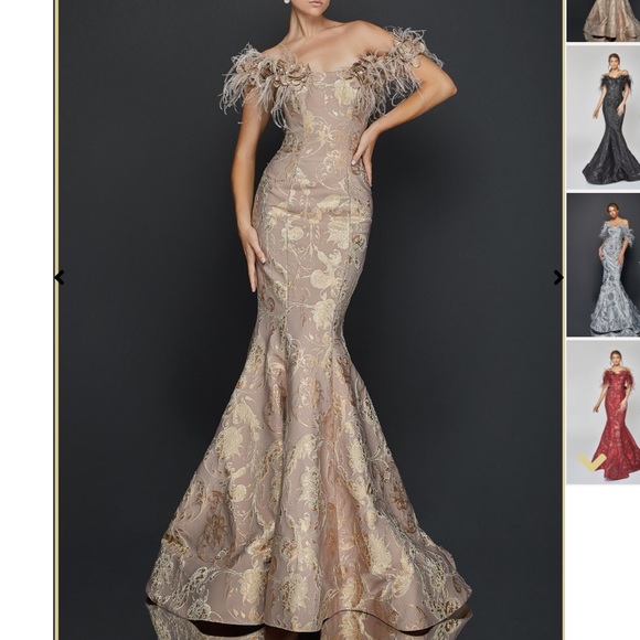 Champagne colored feathered gown - Picture 5 of 5